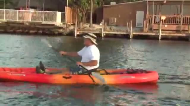 Watch Doggies Paddling for a Good Cause Video