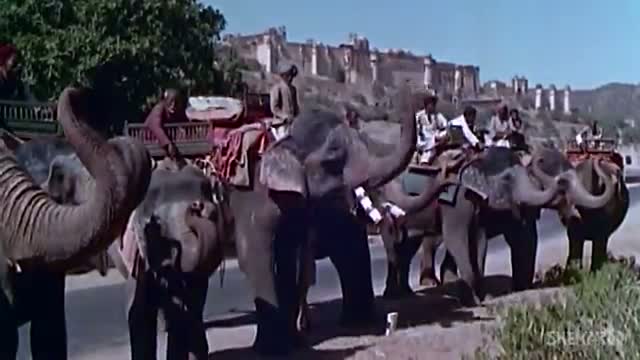 Watch Chhodo Kal Ki Baatein - Sunil Dutt - Asha Parekh - Hum Hindustani - Bollywood Patriotic Songs (Independence Day Special) Video