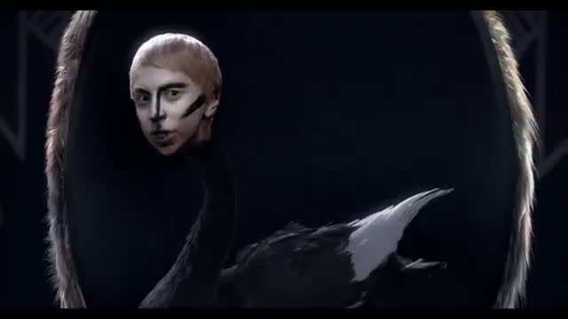 Watch Lady Gaga - Applause (Official Video) Video