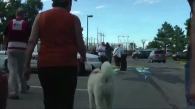 Watch 'No Pets Are Left Behind' in Colorado Floods Video