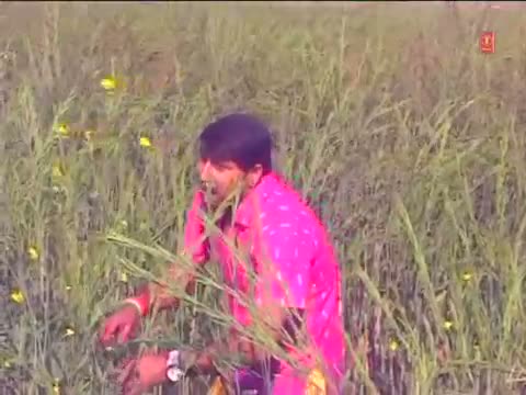 Watch Lahar Loota Taari ( Bhojpuri Video Song ) Movie - Holi Ke Baja Video