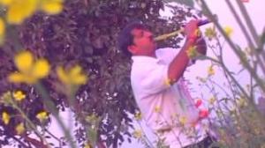 Watch Kamar Koiniya Ba [ Bhojpuri Video Song ] Movie - Holi Ke Baja Video