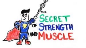 Watch The Scientific Secret of Strength and Muscle Growth Video
