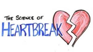 Watch The Science of Heartbreak Video