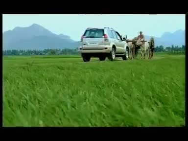 Watch Bingo - taste international (Tamil) Video