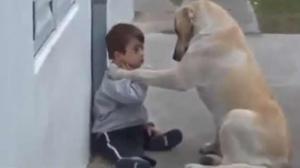 Watch Loving Dog Takes Care Of Little Boy With Down Syndrome Video