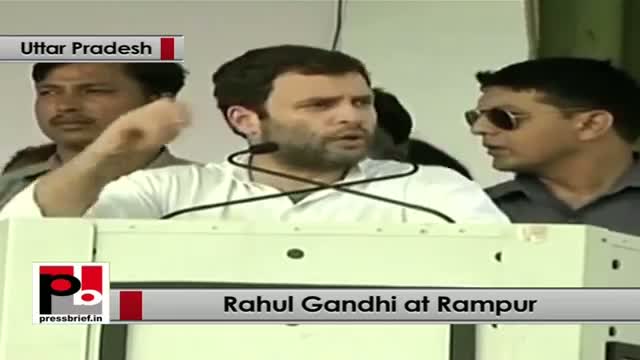 Watch Rahul Gandhi in Rampur: Food Security Law will ensure no one lives in huger in our country Video