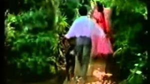 Watch Raymonds 3 Video