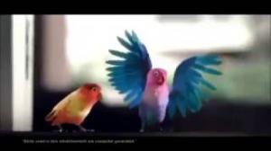 Watch Nesle KitKat - lovebirds Video