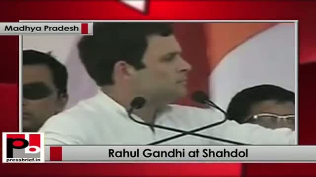 Watch Rahul Gandhi addresses Congress rally at Lalpur Ground in Shahdol (Madhya Pradesh) Video