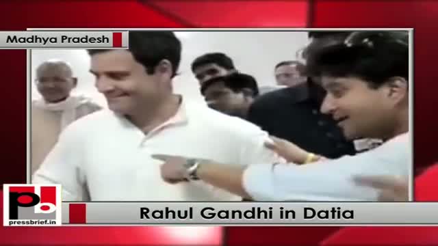 Watch Rahul Gandhi meets stampede victims in Datia, Madhya Pradesh Video