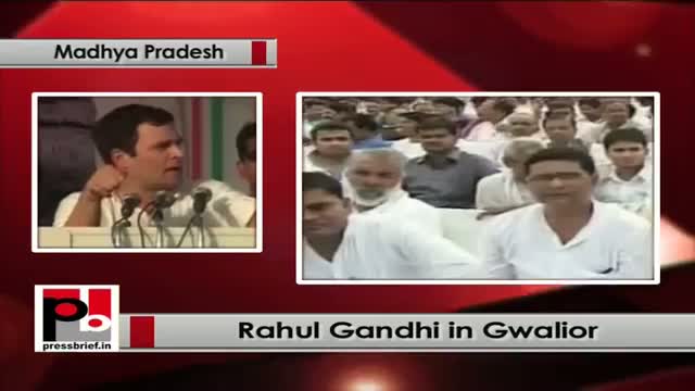 Watch Rahul Gandhi slams BJP in in Gwalior (Madhya Pradesh); lauds UPA policies Video