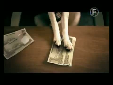 Watch Microsoft Original Software - Dog - Hindi Video