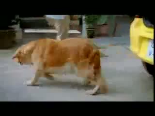 Watch Maruti - manzil nazdikh hain - 2 Video