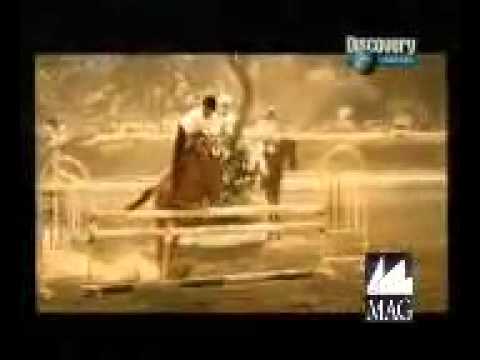 Watch Indian Army - jeena to aise jeena Video