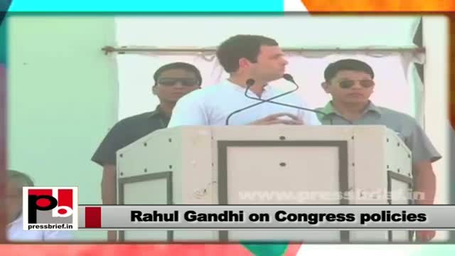 Watch Rahul Gandhi on Congress policies: We see Hindustan as a bouquet with so many flowers Video