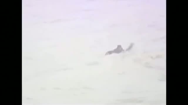 Watch Surfer Aids Rescue Then Rides Huge Wave Video