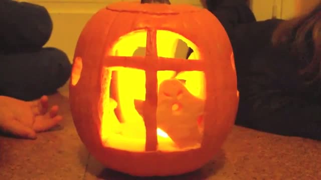 Watch Halloween pumpkin carving ideas Video