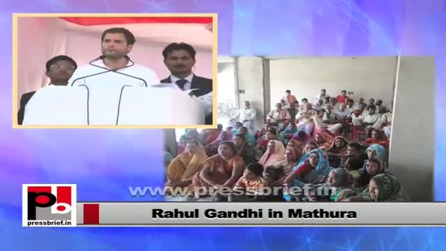 Watch Rahul Gandhi targets SP-BSP misrule in Uttar Pradesh Video