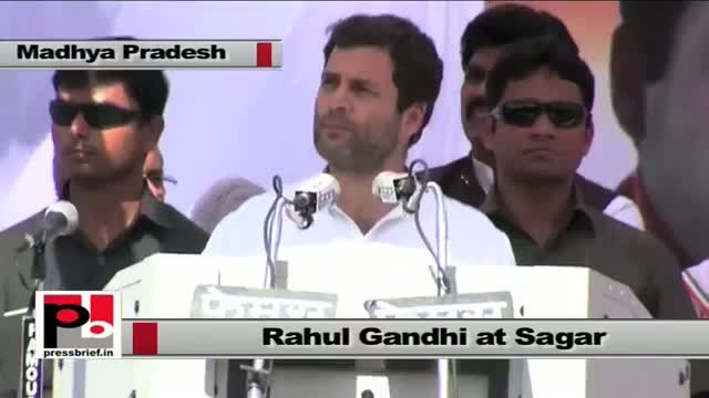 Watch Rahul Gandhi : Congress fights as a unit in MP elections Video