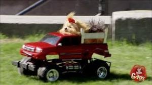 Watch Just for Laughs Gags - Tiny Dog Drives Away With Tiny Car Video