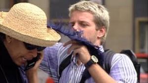 Watch Just for Laughs Gags - Throwback Thursday: Funny Feather Hat Video