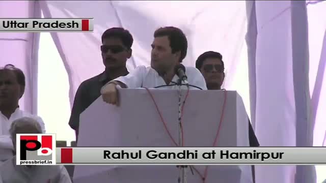 Watch Rahul Gandhi : UP will gain more than anyone else Video