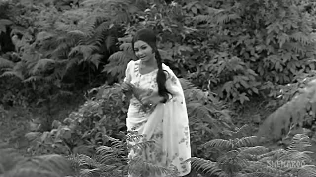 Watch Kuchh Dil Ne Kaha - (Old is Gold) Dharmendra - Sharmila Tagore - Anupama - Lata - Evergreen Hindi Songs Video