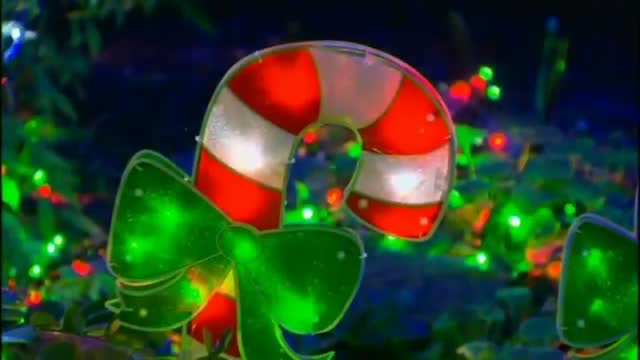 Watch Christmas world record: Australian family rig 502,165 lights Video