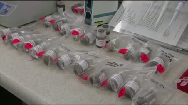 Watch DNA Detectives Busting Fido's Poo Video