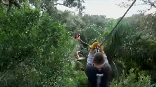 Watch Ziplines Give Aerial View of Alligator Farm Video