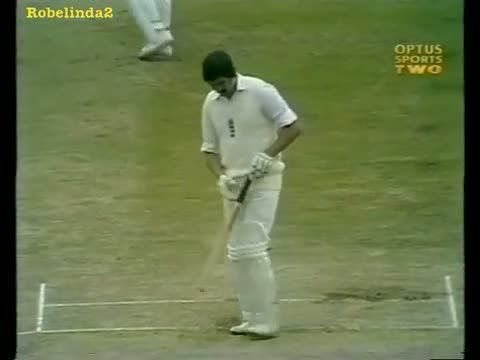 Watch Pair of ducks on test debut, horrible start! Video