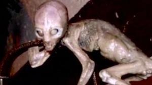 Watch 10 Things You Didn't Know About Area 51 Video