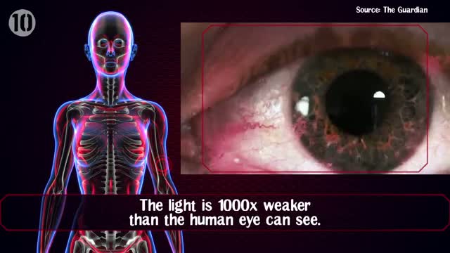 Watch 10 Things You Didn't Know About Your Own Body Video