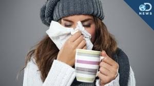 Watch Do We Actually Get Sick More in Winter? Video