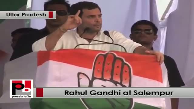 Watch Rahul Gandhi: Our food bill will ensure no one will live in hunger Video