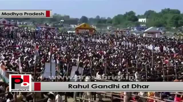 Watch Rahul Gandhi: UPA passed tribal bill, but people didn't get anything in MP Video