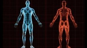 Watch 10 Useless Human Body Parts Video