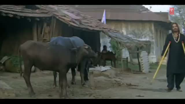 Watch Ban Ke Masiha Gaanv Se - Bhojpuri Video Song | Movie: Shammi Bhaiya Video