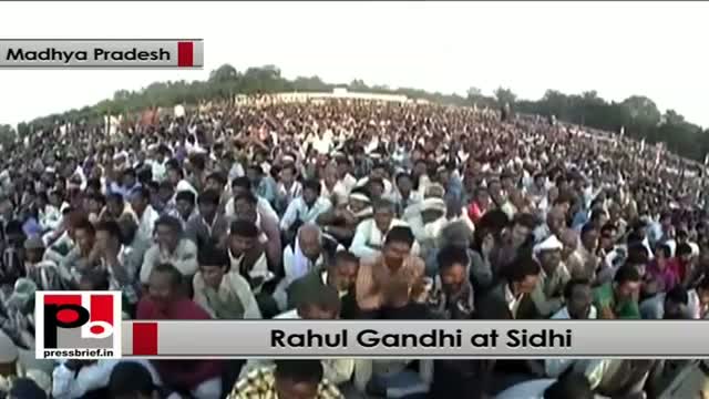 Watch Rahul Gandhi: Congress is for every individual Video