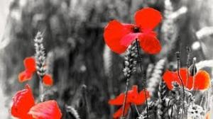 Watch 10 Staggering Statistics About World War Two Video