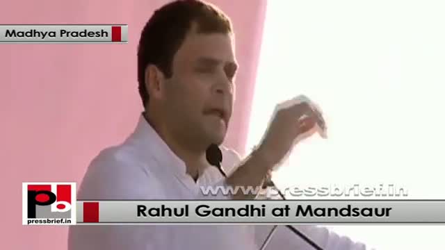 Watch Rahul Gandhi: BJP has forgotten the tribal and dalits in Madhya Pradesh Video