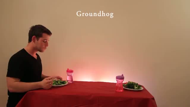 Watch How Animals Eat Their Food Video