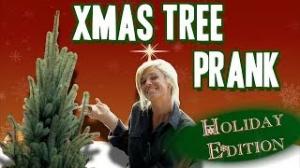 Watch Super-Quick Growing Christmas Tree - Gagstravaganza Day 12 - Just For Laughs Gags 2013 Video
