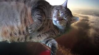 Watch Dreams - Very Innovative Video