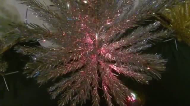Watch Aluminum Christmas Trees Back in Spotlight Video