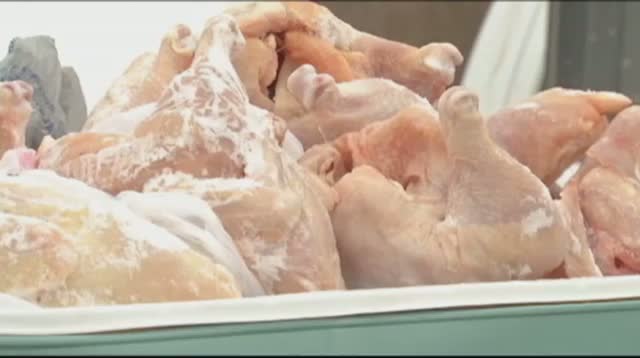 Watch Rescued Chickens Save Iowa Christmas Dinner Video