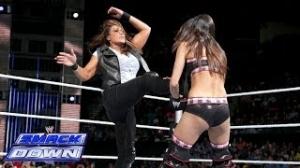 Watch Brie Bella vs. Tamina Snuka: WWE SmackDown, Dec. 20, 2013 Video