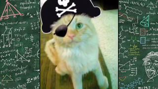 Watch An Engineer's Guide To Cats 2.0 - The Sequel Video