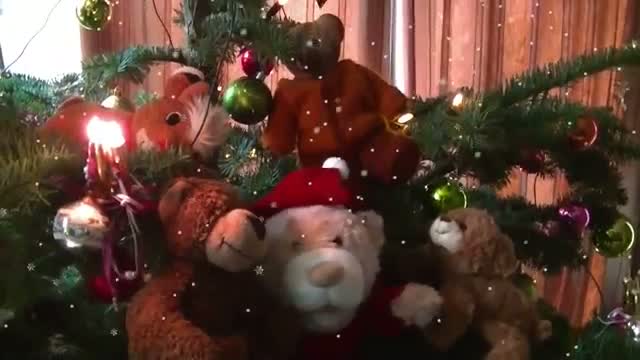 Watch Merry Christmas 2013 - Happy Xmas 2013 Video